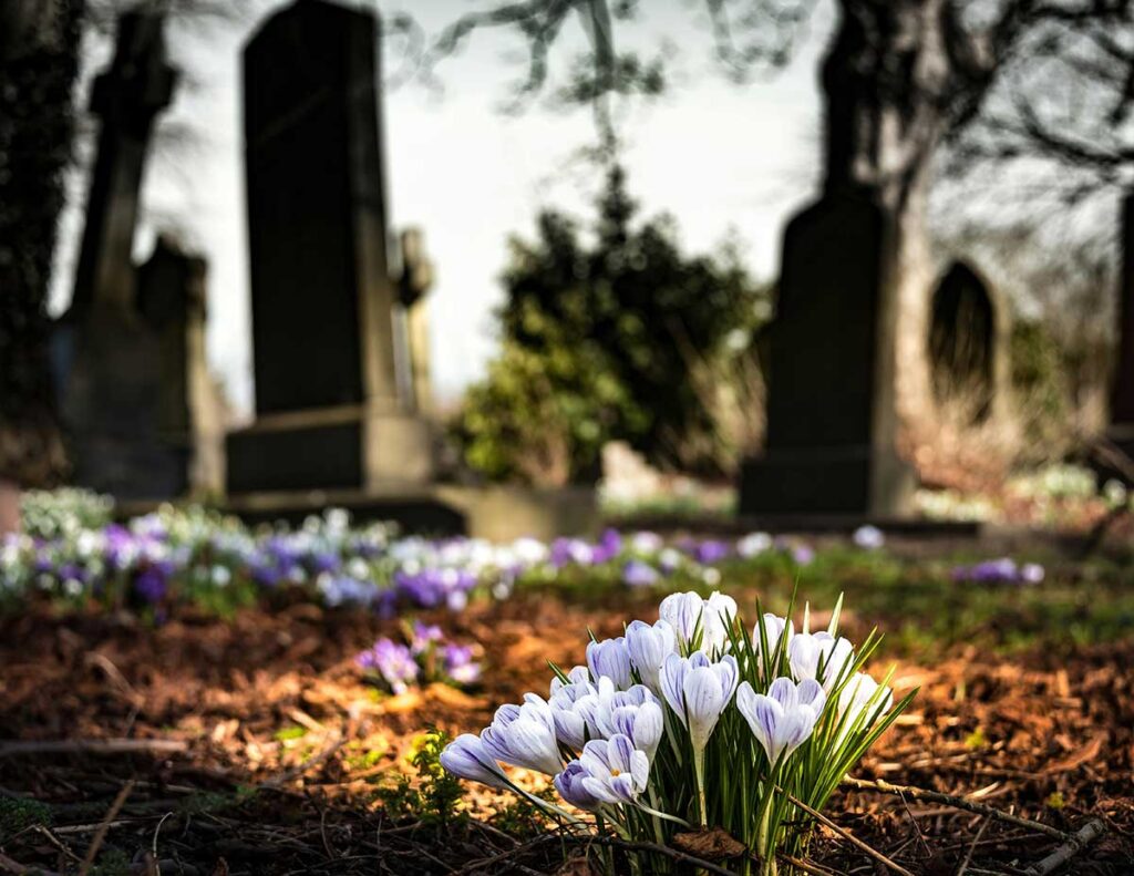 wrongful death damages